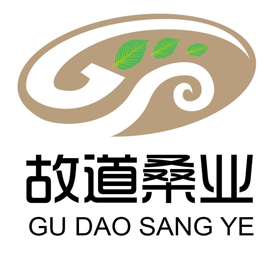 喝茶就可以防脫生發(fā)，太神奇了！桑葉養(yǎng)生茶