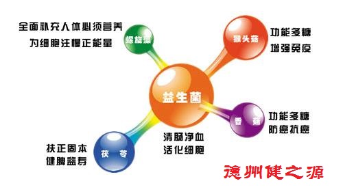 夏天腸胃問題頻發(fā)，您應(yīng)該用益生菌了